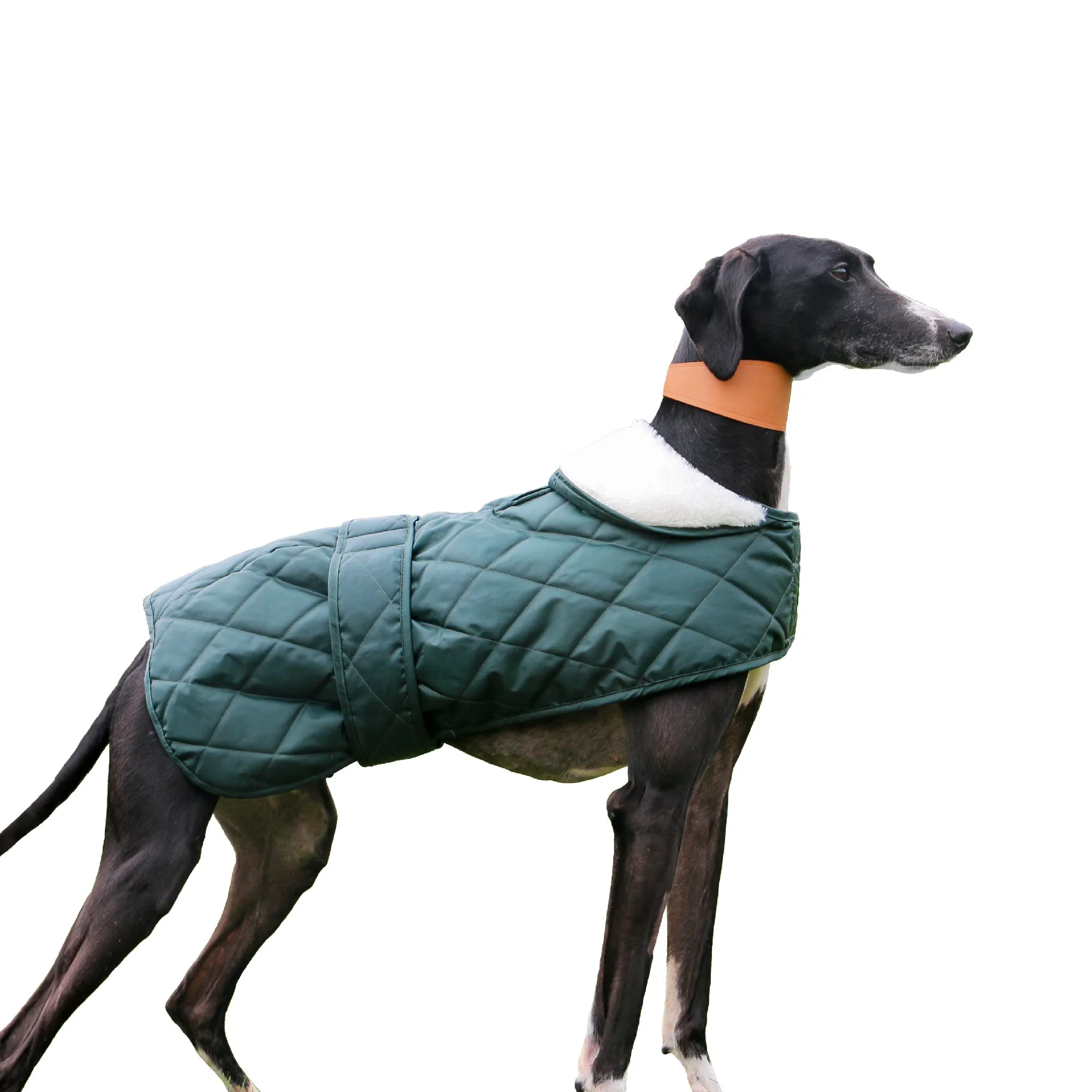 Ancol Muddy Paws Quilted Green Hound Coat